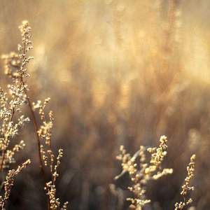 十大美女坐厕偷拍视频
