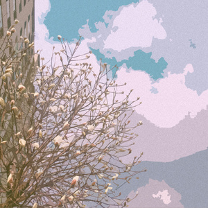 十大美女坐厕偷拍视频
